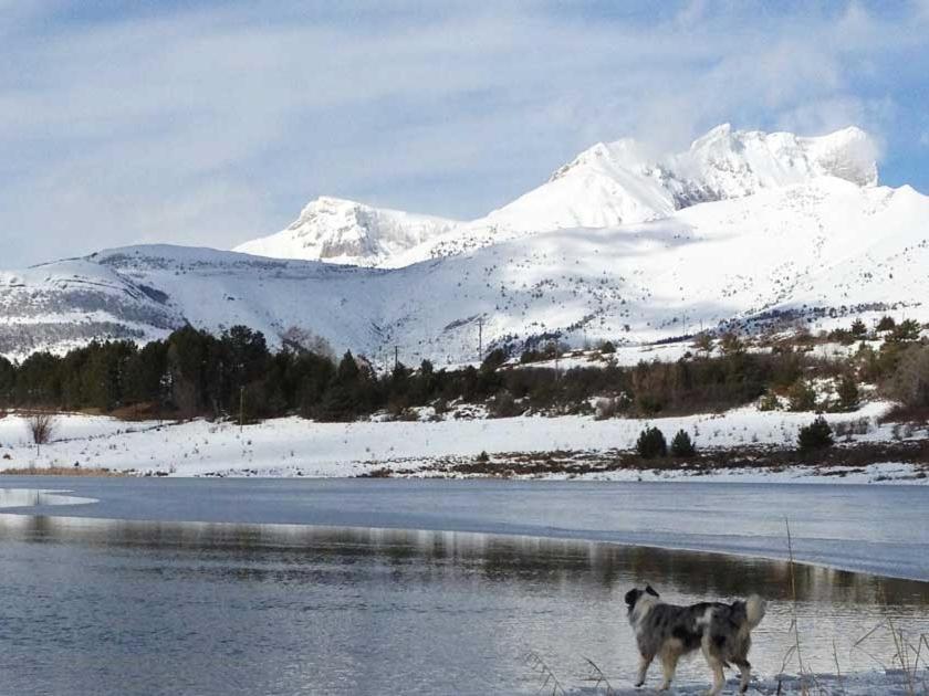 Gite Basse Correo La Freissinouse Dış mekan fotoğraf